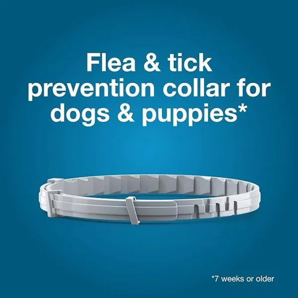 Seresto® Flea & Tick Collar for Large Dogs