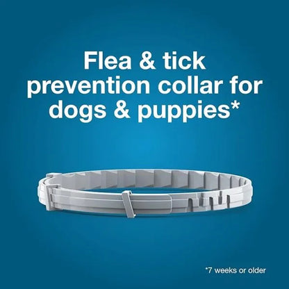 Seresto® Flea & Tick Collar for Large Dogs